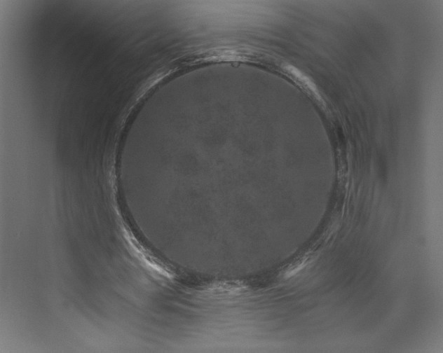 X0000074000386200608211419