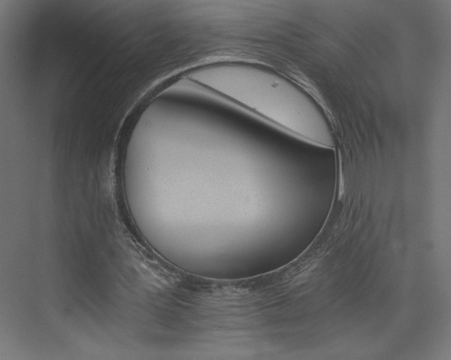 X0000074000387200608211419