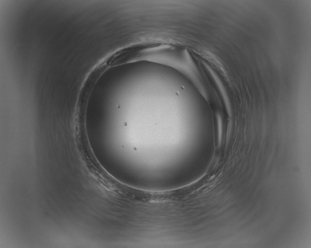 X0000074000388200608211419