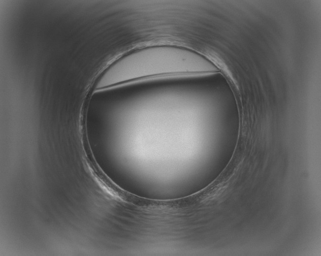 X0000074000389200608211419