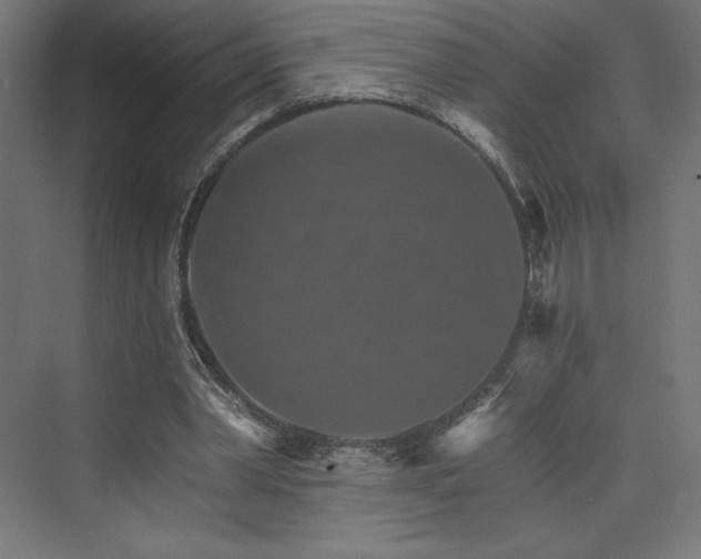 X0000074000390200608211419