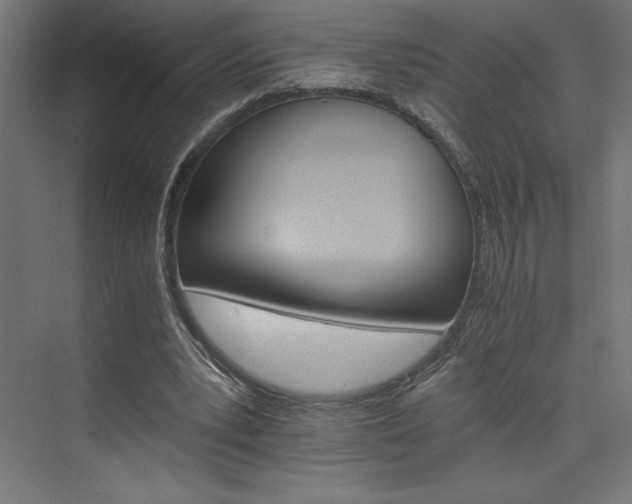 X0000074000391200608211419
