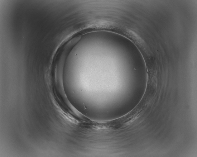 X0000074000392200608211419