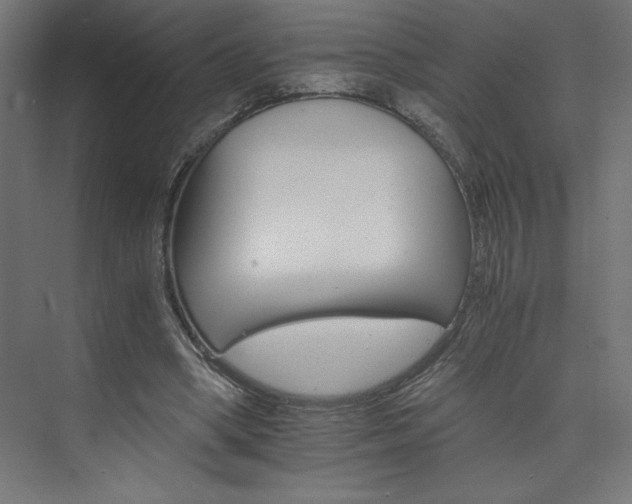 X0000074000394200608211419