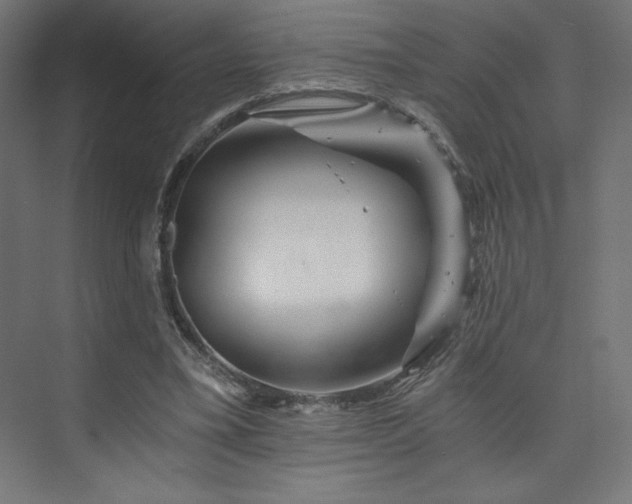 X0000074000395200608211419