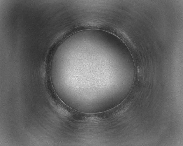 X0000074000396200608211419