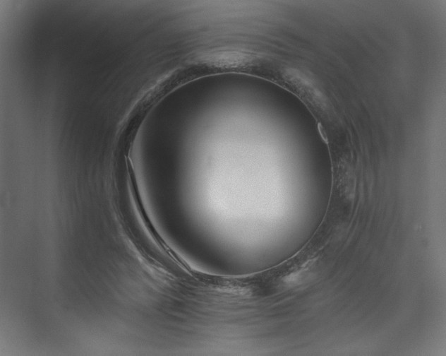 X0000074000400200608211419