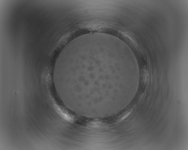 X0000074000408200608211419