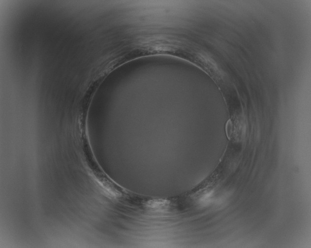 X0000074000410200608211419
