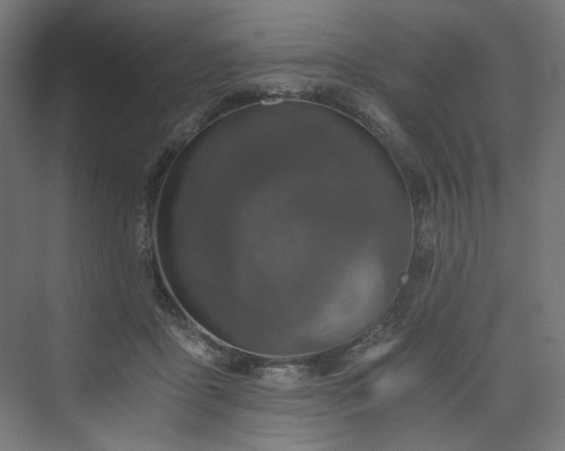 X0000074000411200608211419