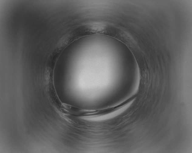X0000074000412200608211419