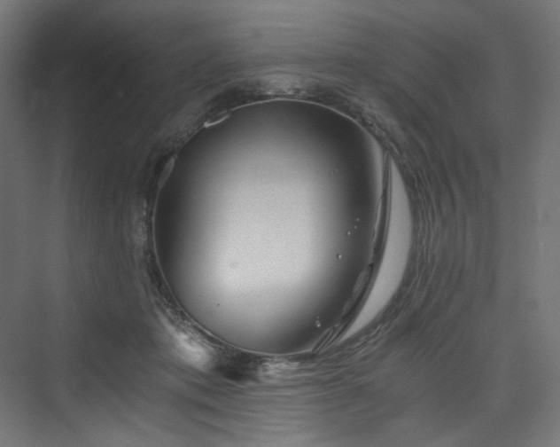 X0000074000413200608211419