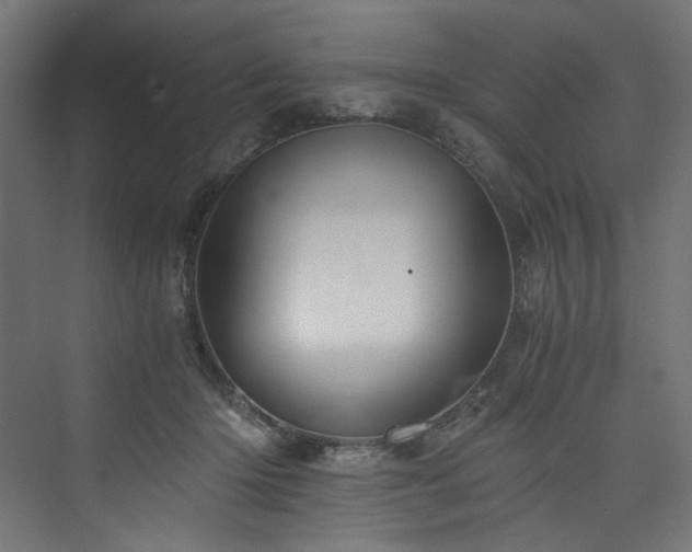 X0000074000414200608211419