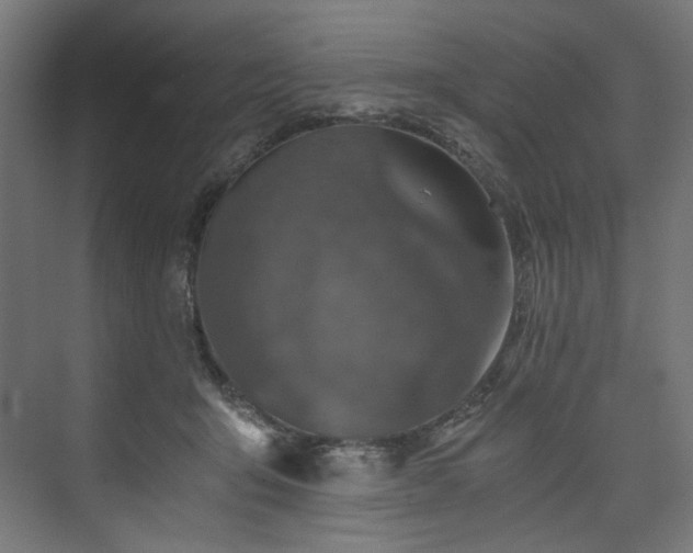 X0000074000415200608211419