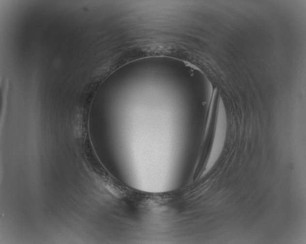 X0000074000416200608211419