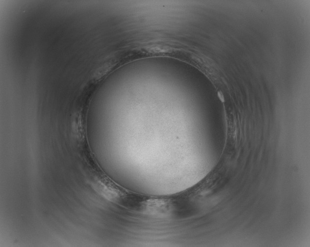 X0000074000418200608211419