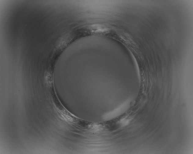 X0000074000419200608211419