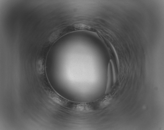 X0000074000420200608211419