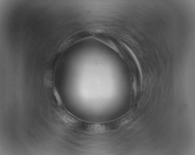 X0000074000421200608211419