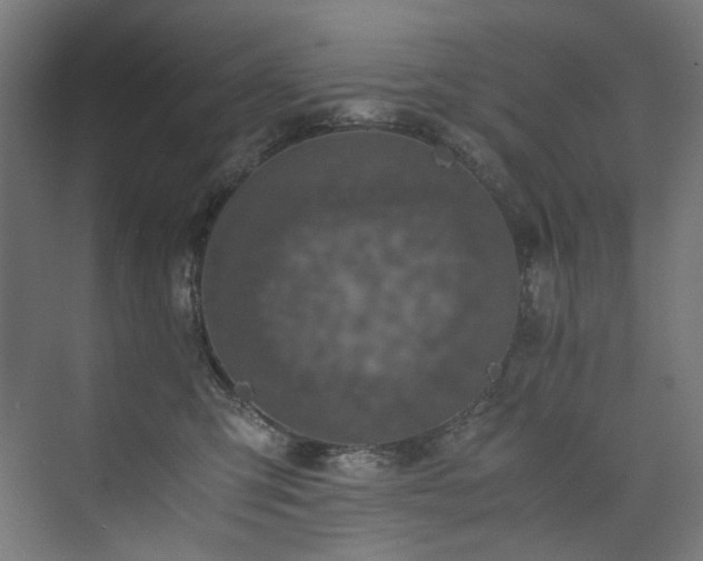 X0000074000423200608211419