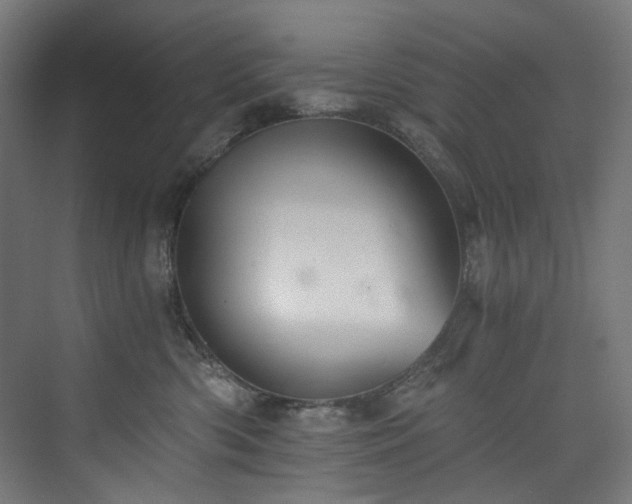 X0000074000426200608211419