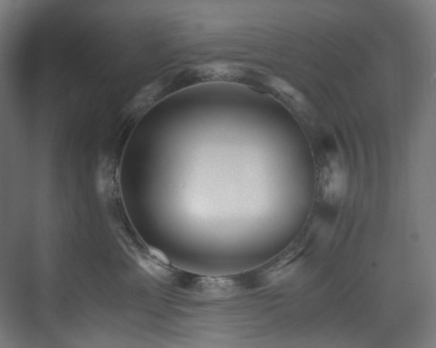 X0000074000429200608211419