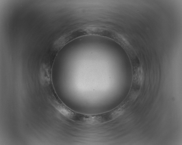 X0000074000430200608211419