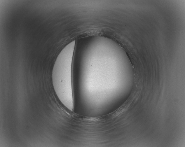 X0000074000432200608211419