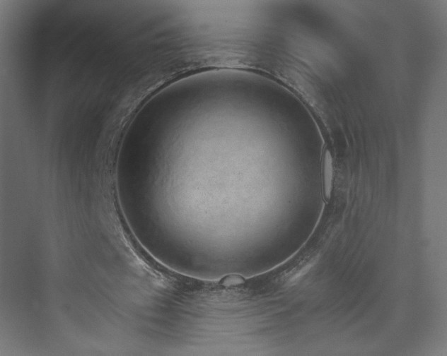 X0000074000433200608211418