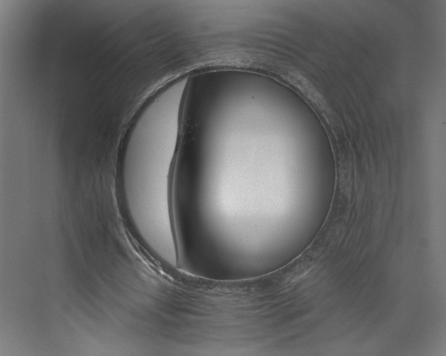X0000074000434200608211418