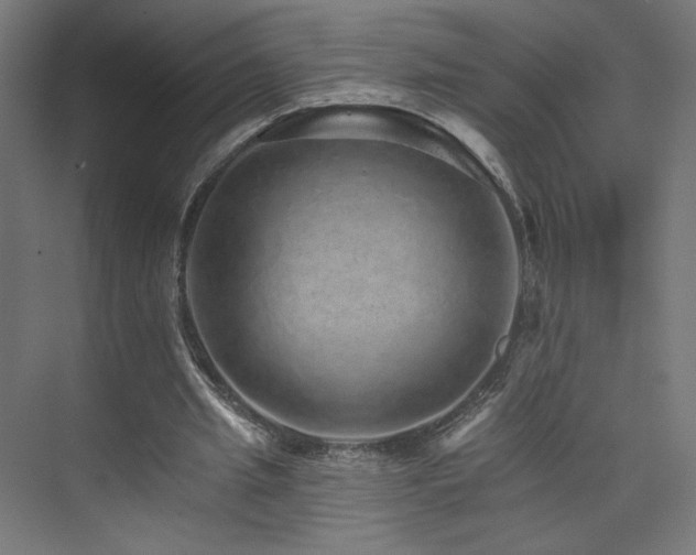 X0000074000437200608211418