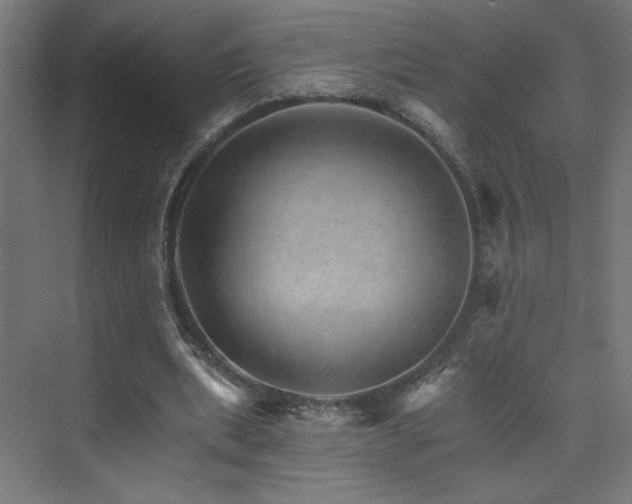 X0000074000439200608211418