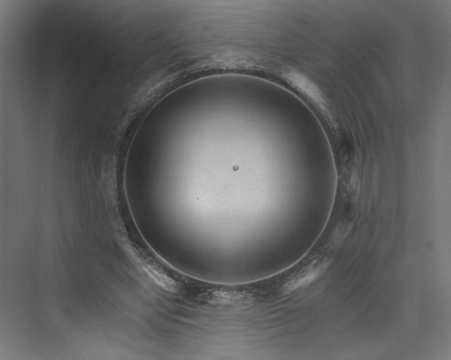 X0000074000442200608211418