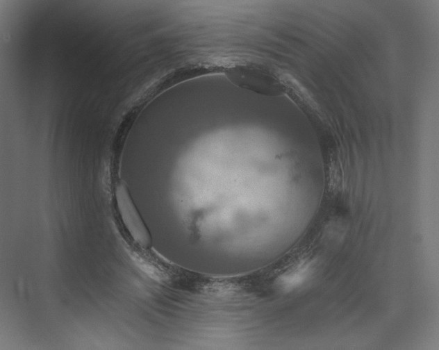 X0000074000444200608211418