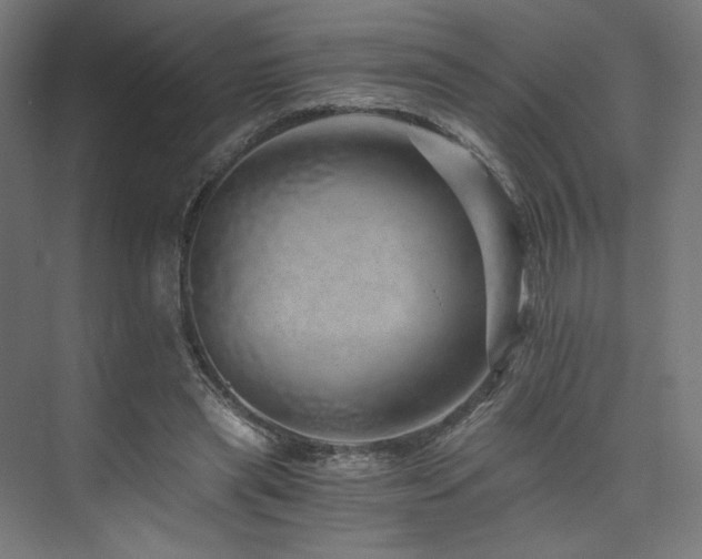 X0000074000445200608211418