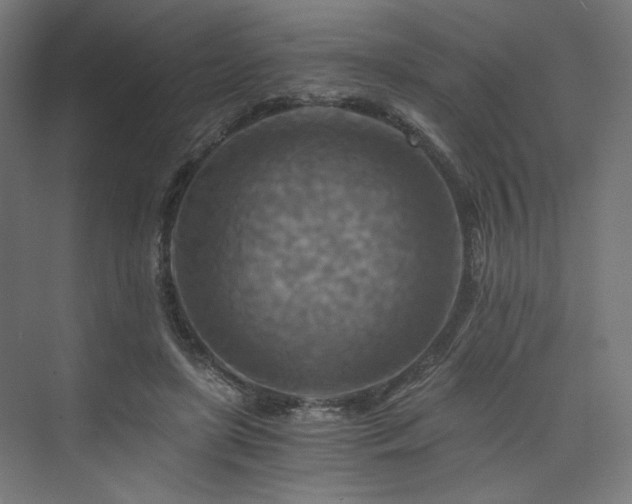 X0000074000451200608211418