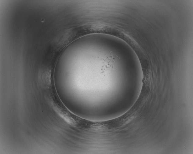 X0000074000454200608211418
