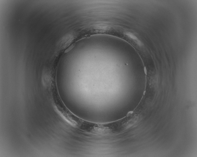 X0000074000455200608211418