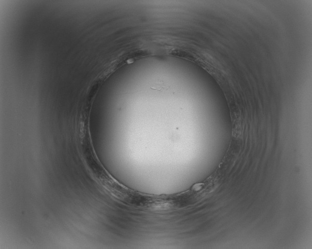 X0000074000456200608211418