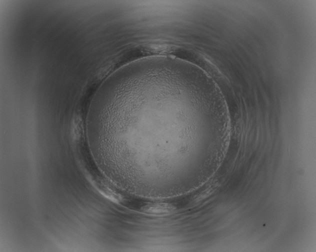 X0000074000459200608211418