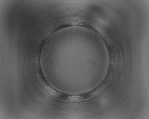 X0000074000461200608211418