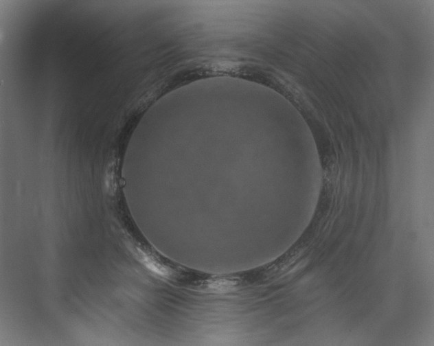 X0000074000462200608211418