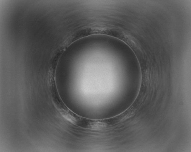 X0000074000463200608211418
