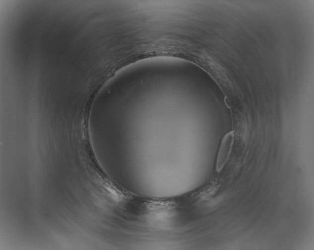 X0000074000465200608211418