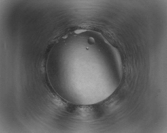 X0000074000466200608211418