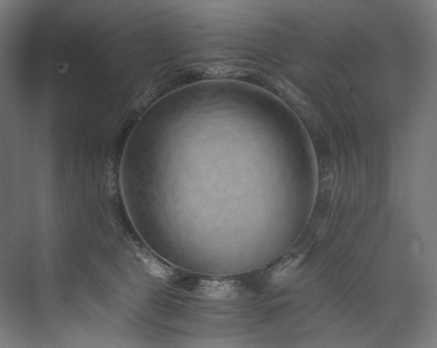 X0000074000469200608211418