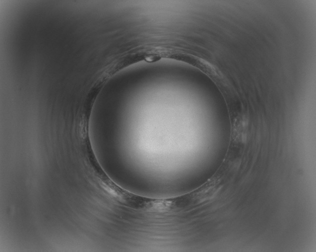X0000074000474200608211418
