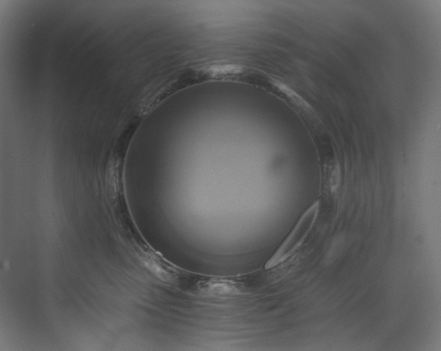 X0000074000475200608211418