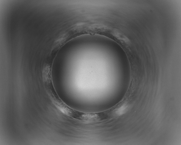 X0000074000480200608211419