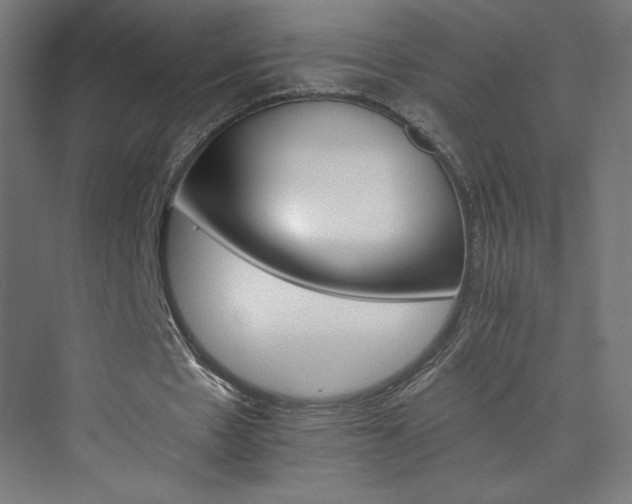X0000074000481200608211418